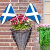 AhfuLife 30pcs Scottish Flags on Sticks for Burns Night Decorations,