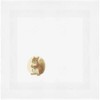 'Red Squirrel Side View' Cotton Napkin/Dinner Cloth (NK00039194)