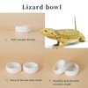 Reptile Food Bowls Ceramic Round Reptile Water Food Dish, Pet