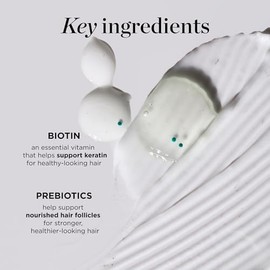 Dr. Groot Dr. Groot Korean Hair Thickening Shampoo with Biotin, Rosemary Oil for Volumizing Thinning, Damaged Hair, 13 Fl Oz