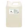 Tea Tree Hydrosol (Floral Water) - 1 Gallon Plastic Jug