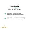 Pukka Herbs | Mint Matcha Green Organic Herbal Tea |