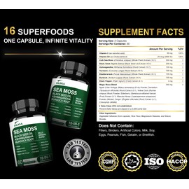 16-in-1 Organic Sea Moss Gel Alternative Capsules – Superfood Blend with Ashwagandha, Black Seed Oil, Turmeric, Bladderwrack, Burdock, Elderberry, Manuka, Dandelion, Yellow Dock, Vitamin C & D3