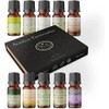 MEVA kit de 10 aceites aromaterapia difusor de aromas humificador