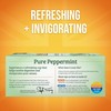 Twinings Pure Peppermint Herbal Tea Individually Wrapped Bags, 100 Count