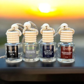 The Blooming Cactus & Co. - 4 Pack Air fresheners|Long lasting car air fresheners, Hand-made in USA|Car accessory|Scented Car|Small room diffuser|Small Business Woman Owned. (Fresh & Earthy Pack Mix)