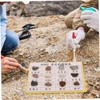 CIYODO 12pcs Educational Rock Collection Kit Mineral Rock Specimens for