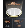 DOWRY 4000 mAh Rechargeable Lighted Makeup Mirror 10x Magnification Vanity