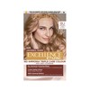 L’Oréal Excellence Permanent Hair Dye Colouring Cream, 100% Grey Coverage,