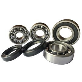 Complete Set Gear Bearings + Shaft Seals