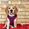 Parisian Pet Adjustable Plaid Red Dog Vest - Medium-Sized Dog