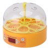 6 Egg Incubator Automatic Egg Turner with Temperature Control Poultry