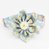 Free Sunday Daisy Dog Collar with Flower,Light Blue Daisy Dog