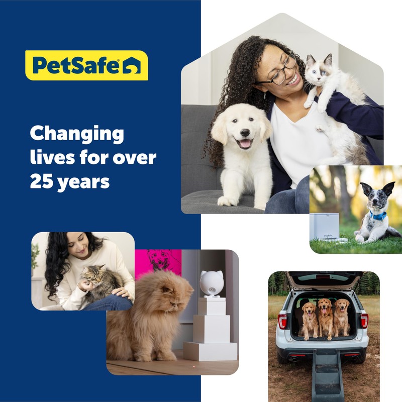PetSafe Stainless Steel Dog and Cat Bowl, Grey, 5 Cup