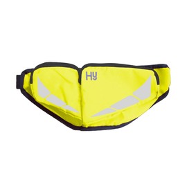 Hyviz Reflector Bum Bag (Yellow)