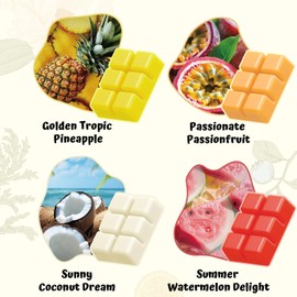WAXCANPY Wax Melts, Scented Soy Wax Melts, Natural Soy Wax Cubes - 4 Scents: Golden Tropic Pineapple,Passionate Passionfruit,Sunny Coconut Dream,Summer Watermelon Delight(4 x 2.5 oz)