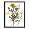 Frametory, Floating Picture Frame 11x14 - Black Aluminum Metal Photo