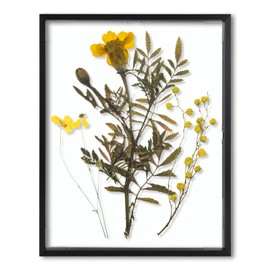 Frametory, Floating Picture Frame 11x14 - Black Aluminum Metal Photo Frame - Real Glass of Front - for Wall Mount Displays