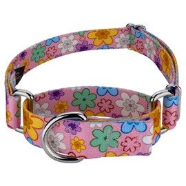 Country Brook Petz Martingale Dog Collar - Heavy-Duty Training Collar - Vibrant Floral Collection with Charming Designs - May Flowers, Small