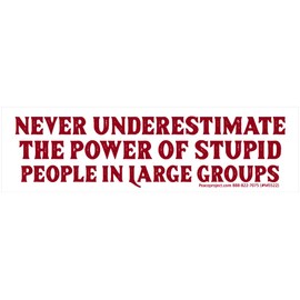 Never Underestimate The Power of Stupid People in Large Groups Small Magnetic Car Bumper Sticker Magnet Decal for Lockers Fridges Magnetic Surfaces 5.5-by-1.5 Inches (Magnetic Backing)