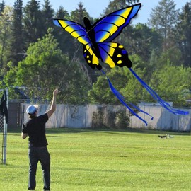 HENGDA KITE for Kids and Adults Amazing Colorful Butterfly Kite for Outdoor Games and Activities Single Line Kite with Flying Tools (Blue)