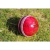 Cricket Balls 6 pack - Red Leather Match Quality (Youth/Junior/School)