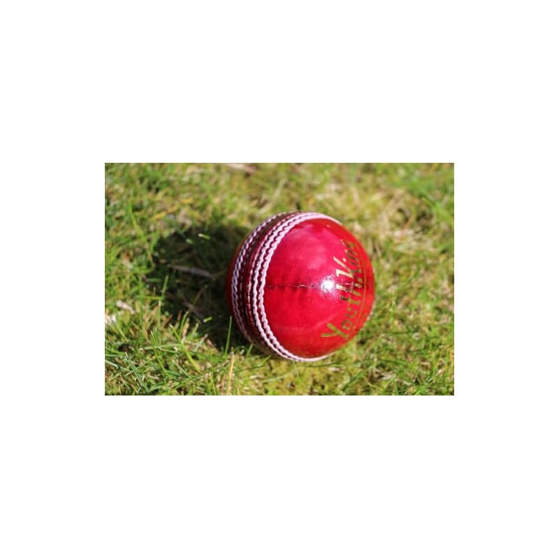 Cricket Balls 6 pack - Red Leather Match Quality (Youth/Junior/School)