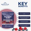 Regulate – Wild Berry Bliss Electrolyte Drink Mix | 30