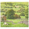 Yorkshire Tea Hard Water Tea Bags, 160 Tea Bags