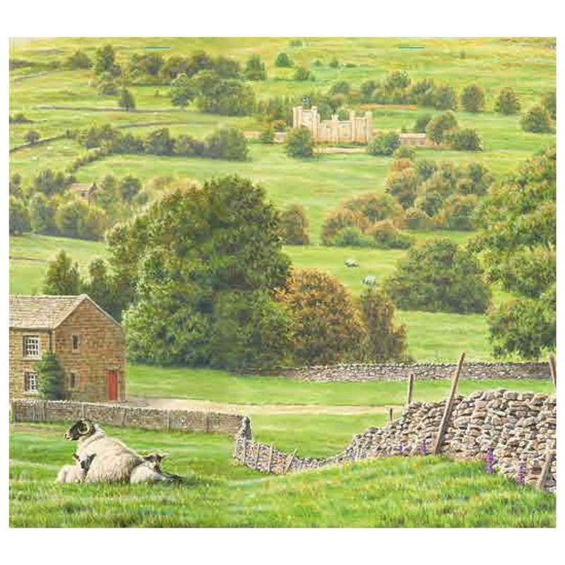 Yorkshire Tea Hard Water Tea Bags, 160 Tea Bags