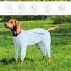Dog Sun Protection Cooling Suit UPF 50+, Quick-Dry Breathable Jumpsuit