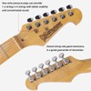 Electric Guitar Beginner Kit 39 Inch Full Size for Adult,Starter