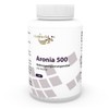 Vitaworld Aronia 500 mg 120 Capsules