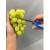 CHIKAMASA B-600SLUFB, The Precise Specialty Trimming Scissors, S/S L-Shape Blade,