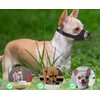 COZERI Small Dog Muzzle Ideal for Chihuahua, Young Medium and