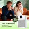 DBFIT Replacement Filter for AP2410 Air Purifier – 2-in-1 Air