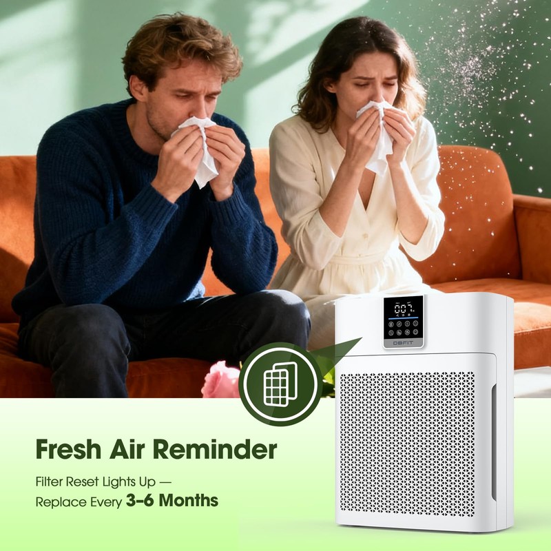 DBFIT Replacement Filter for AP2410 Air Purifier – 2-in-1 Air