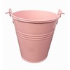 Spring life 11CM METAL TIN HERB FLOWER BUCKET POT PLANTER