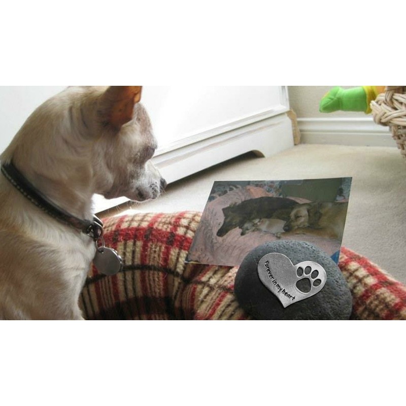 Quotable Cuffs Comforting Dog Memorial Gift - Sympathy or Condolence