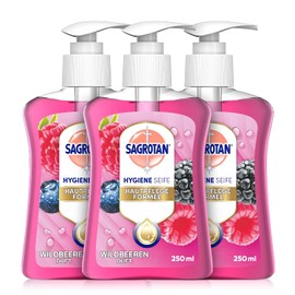 Sagrotan Hand Soap Blackberry and Forest Fruits – Hygienic Liquid Soap - 3 x 250ml Soap Dispenser