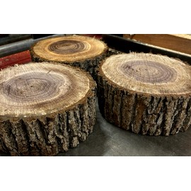 Green Valley Wood Products ONE (1) LARGE ROUND NATURAL FORM BLACK WALNUT BOWL BLANK LATHE TURNING ~8" X 3"