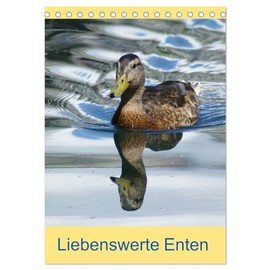 Liebenswerte Enten (Tischkalender 2026 DIN A5 hoch), CALVENDO Monatskalender