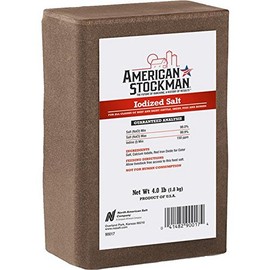 American Stockman Iodized Salt Block Pack of 15