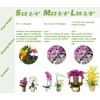 EESC2Y 10-PCs 15-3/4" Plastic Coated Orchid Stakes for Plants Support,