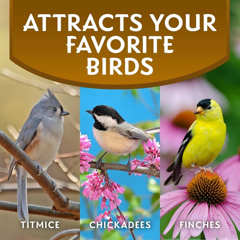 Bird Morning Song Sunflower Hearts & Chips Bird Food, 5.5