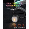 TOWILD TL08 Bicycle Tail Light, Auto On/Off, Team Synchronization, Smartphone