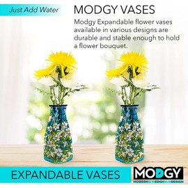 MODGY Expandable Flower Vase, Plastic Decorative Modern Foldable Printed Vases for Centerpieces for Wedding, Dining Table, Home Decor, Living Room, Bathroom, Field of Lilies, Louis C. Tiffany, 2 Pack
