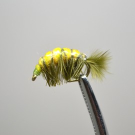 FISHIN ADDICT Trout Grayling fly fishing wet flies Czech nymph olive shrimp set of 5