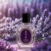 Sundeokdang |Simple daily life and warm memoriesㅣLavender Vanilla Fragrance -