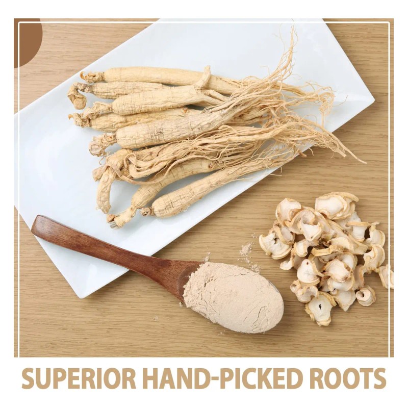 Aki Polvo Ginseng Americano Premium 4% Ginsenósidos 4oz